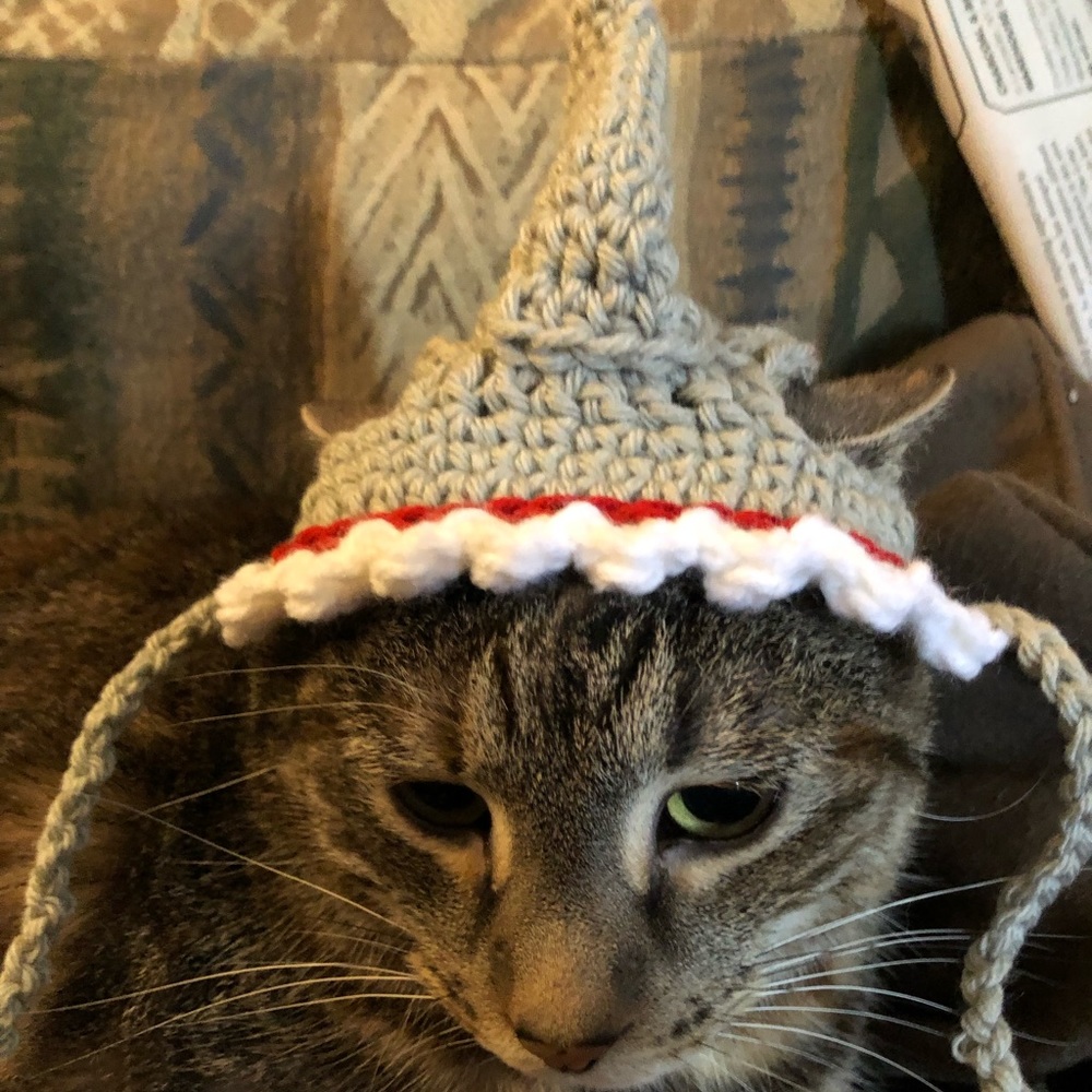 Shark Cat Hat